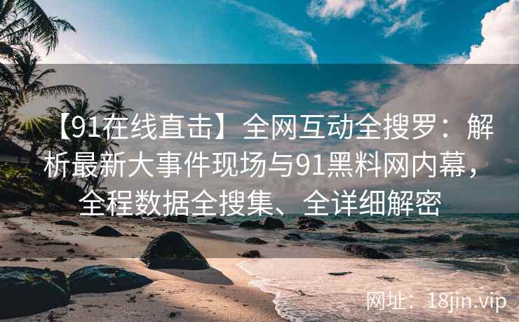 【91在线直击】全网互动全搜罗：解析最新大事件现场与91黑料网内幕，全程数据全搜集、全详细解密